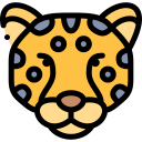 leopardo 