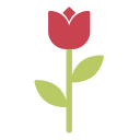 rosa icon