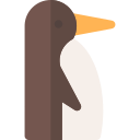 pingüino 