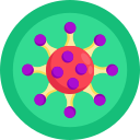 coronavirus icon