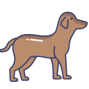 perro icon