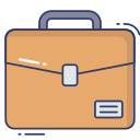 Portfolio icon