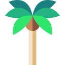 palmera