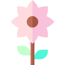 flor 