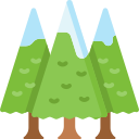 pines