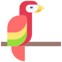 guacamayo icon