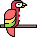 guacamayo