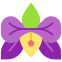 orquídea icon