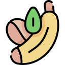 fruta icon