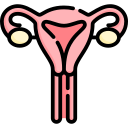 Uterus Icon #295363 - Free Icons Library