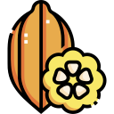 cacao icon