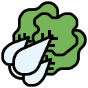 vegetal icon