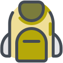 bolso icon