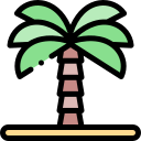 palmera icon