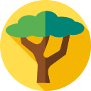 Árbol icon