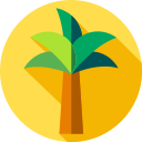 palmera icon