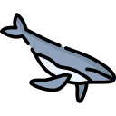 ballena icon