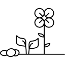fleurs et plantes sur le sol Icône