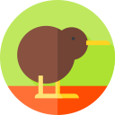 kiwi icon