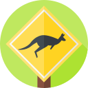 canguro icon