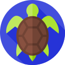 tortuga icon