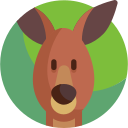 canguro icon