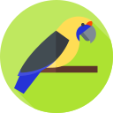 loro icon