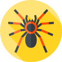 tarántula icon