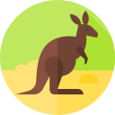 canguro icon