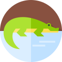 cocodrilo icon