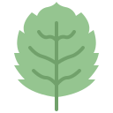 hoja de arbol icon