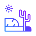 cactus icon