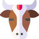 vaca sagrada 