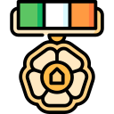 premio icon