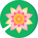 flor de loto icon