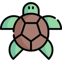 tortuga icon