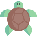 tortuga