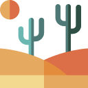 desierto icon