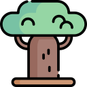 baobab icon