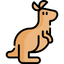 canguru Ícone