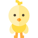 pollo