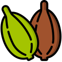 cardamomo icon