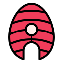 salmón icon