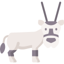 oryx icoon