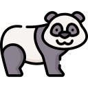 oso panda 