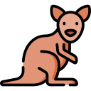 wallaby 