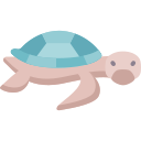 tortuga