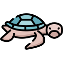 tortuga 