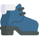 bota icon