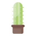 Cactus icon